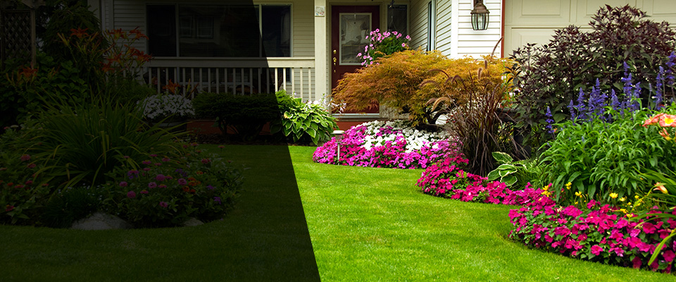 Hooks Landscapers