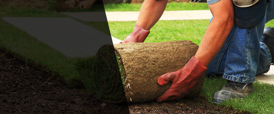 Hooks Landscapers